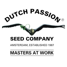 Dutch Passion